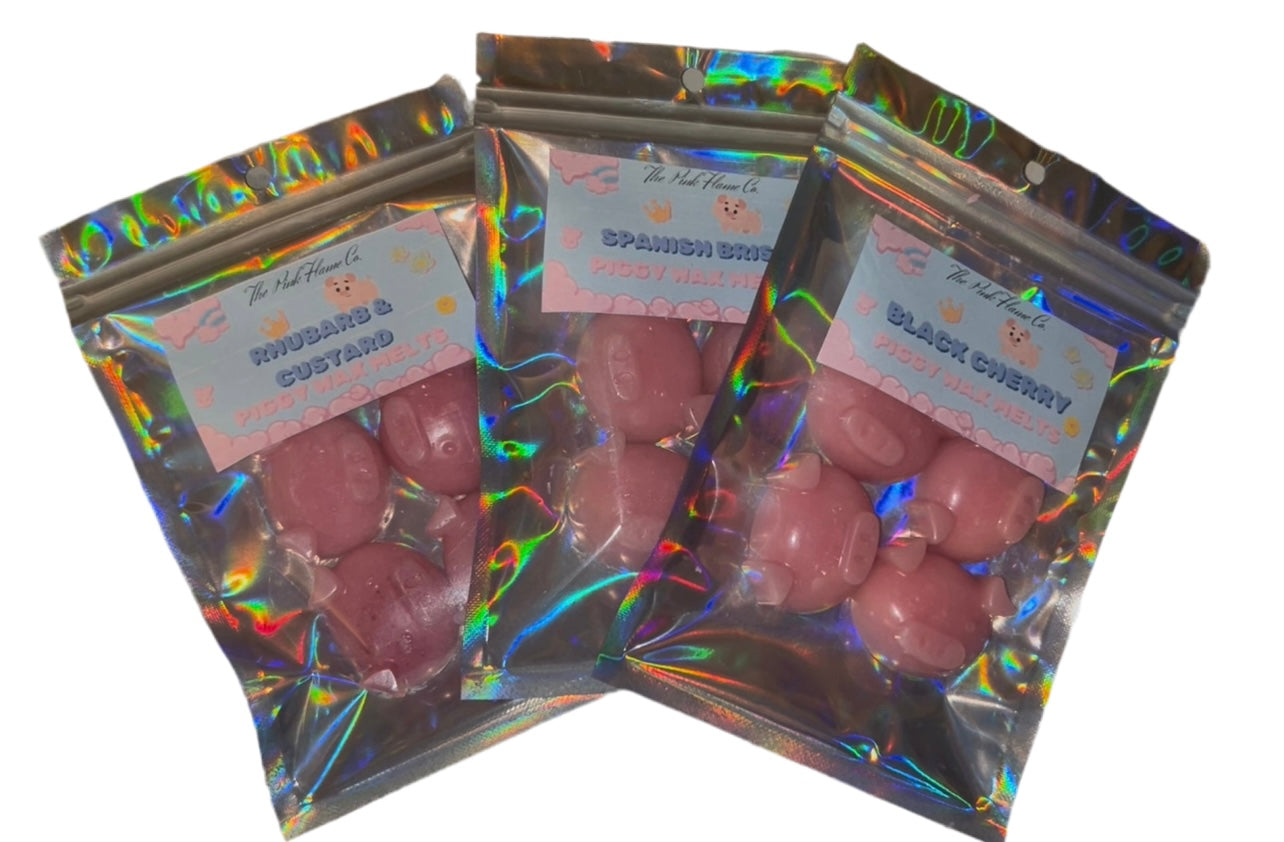 Piggie wax melts (4)